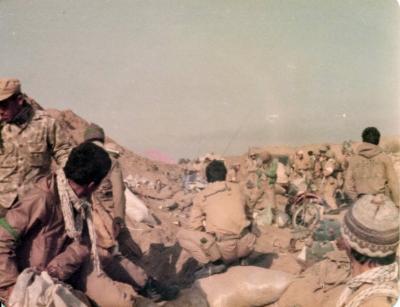 آلبوم عکس-شماره10