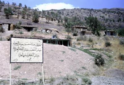 آلبوم عکس-شماره10
