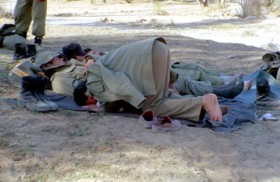 آلبوم عکس-شماره11