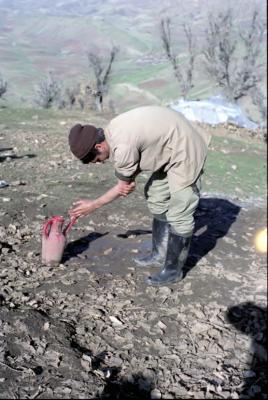 آلبوم عکس-شماره11