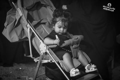 تصاویر موکب اربعین - بخش پنجم