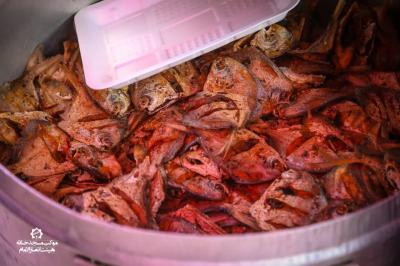 تصاویر موکب اربعین - بخش پنجم